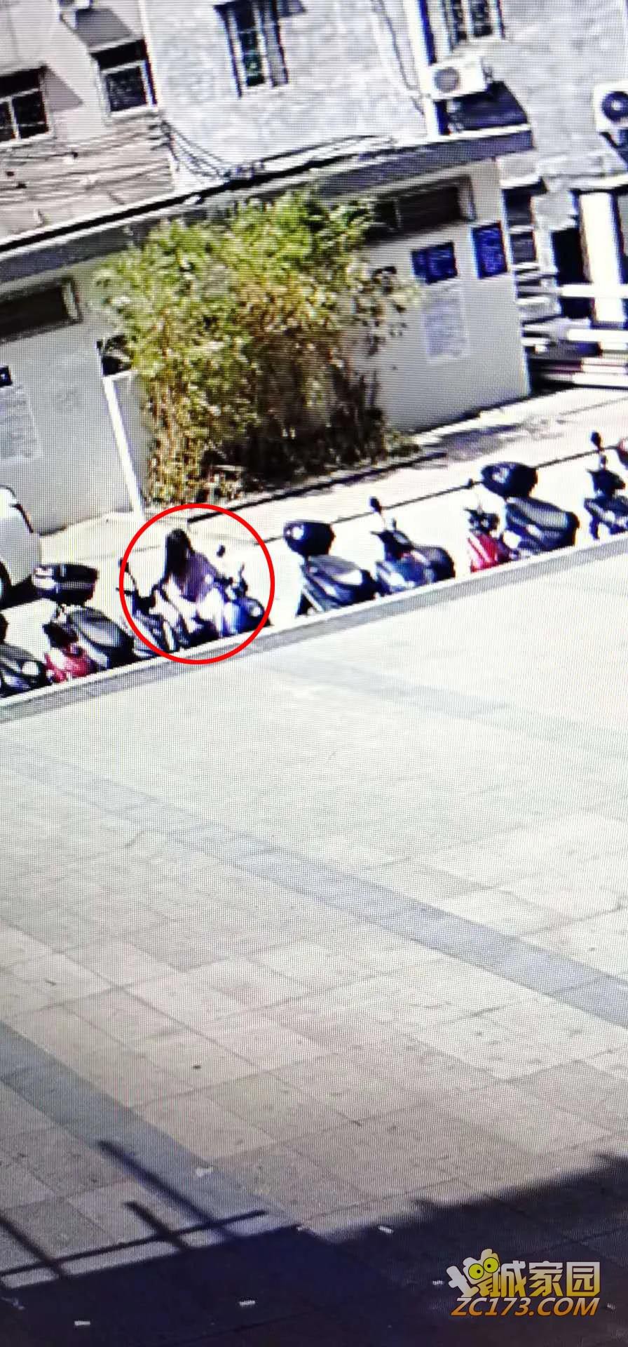 18.jpg