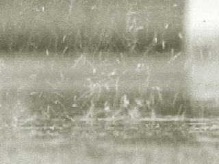 22.gif