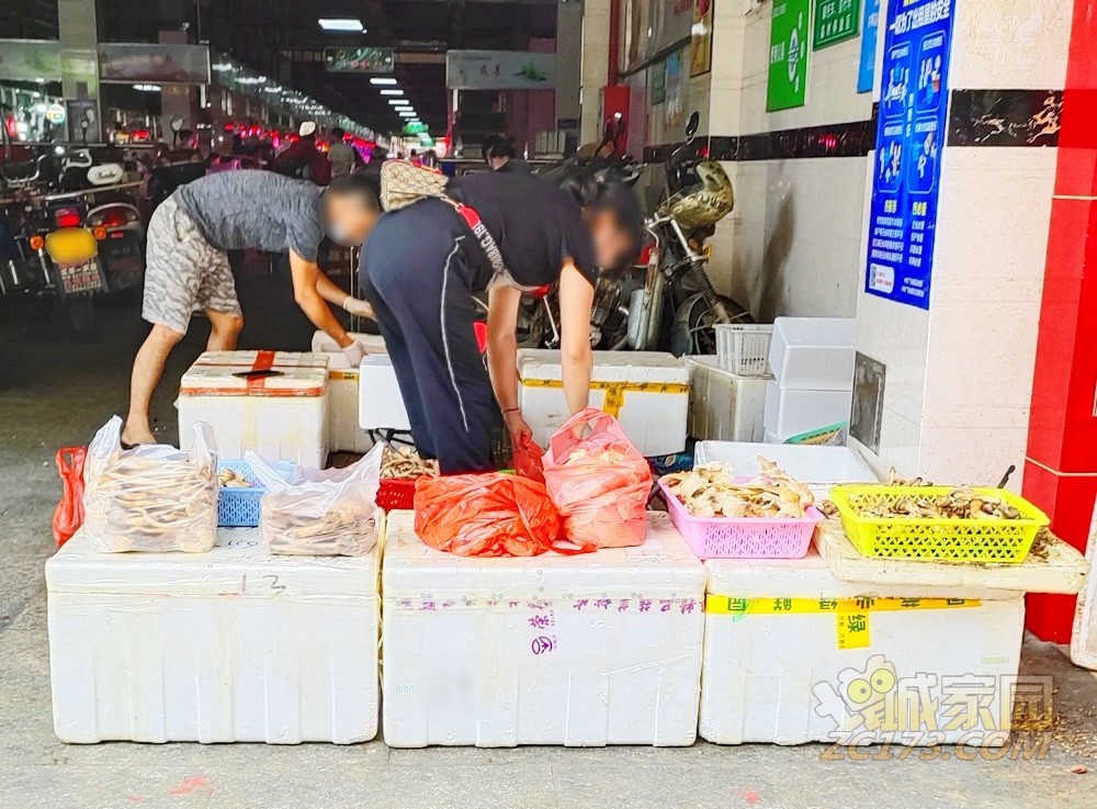 31.jpg