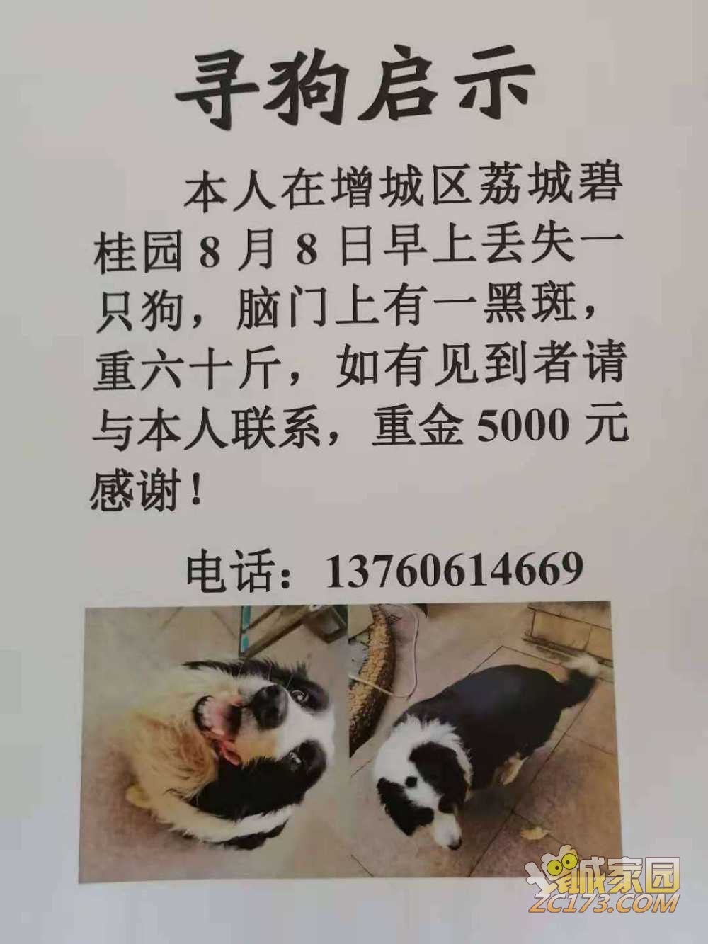 wechat_upload1628473027611086c312e57