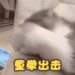 5.gif