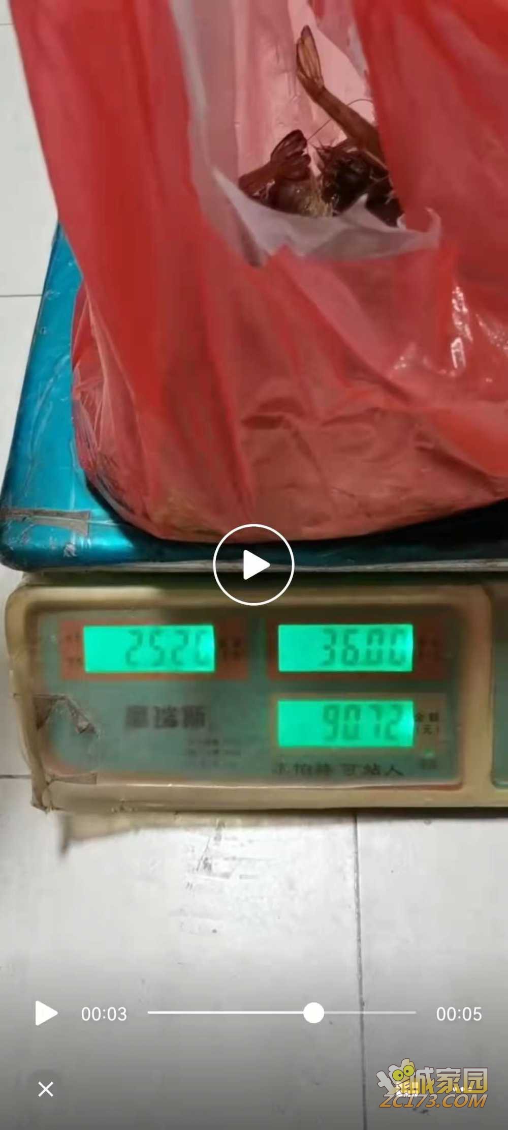 wechat_upload16316268066140a636db1bc