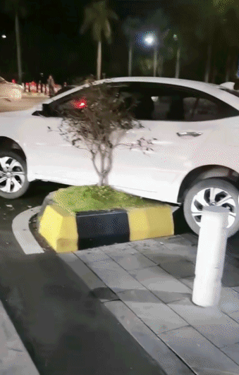 09842a27f35c69158dec11b10f00ac11.gif