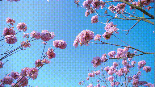 593b7c820fb07074a3947b5bbc5abbaf.gif