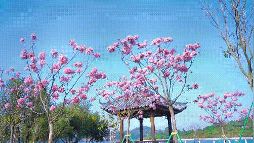 97319edf4b7307cdb3843e098078d117.gif
