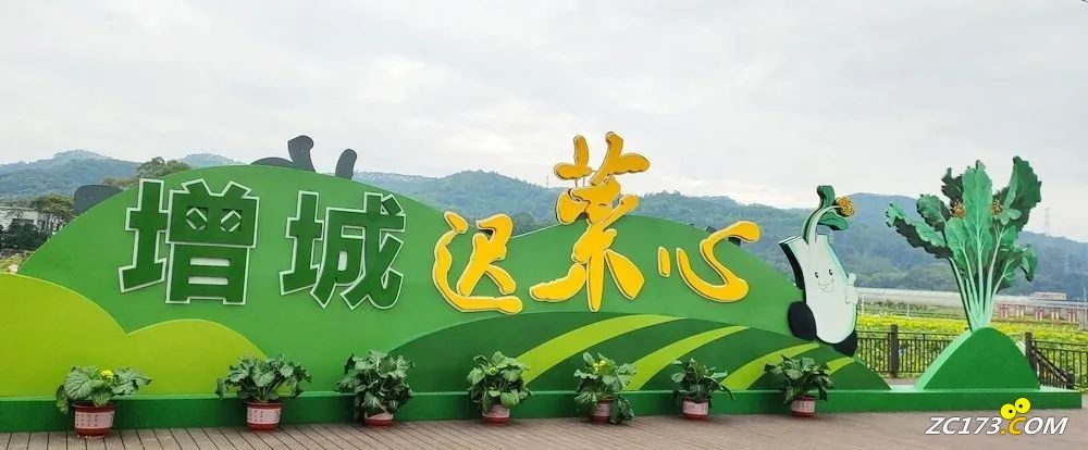 2377deed5607dd545c9e4df6c8e7c8af.jpg