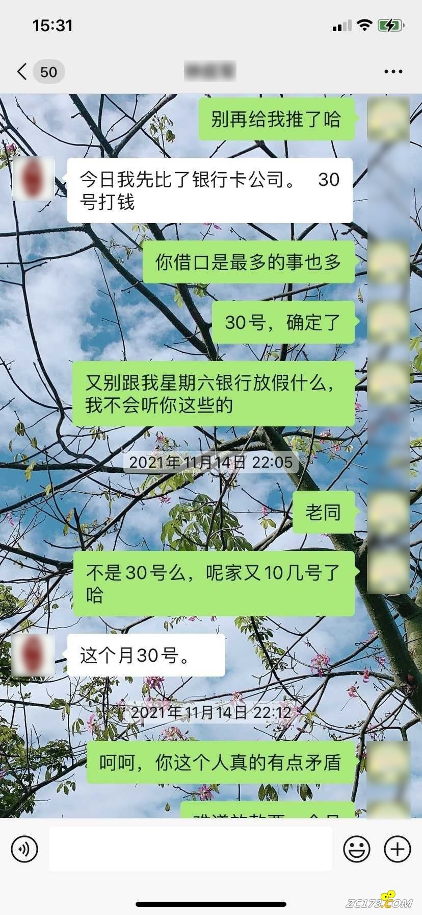 28.jpg