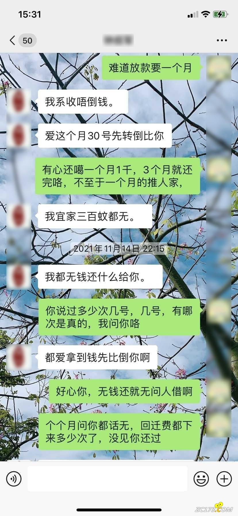 27.jpg