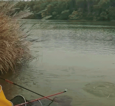 0d907e6217eb8cf9ff687b8b93bb7c93.gif