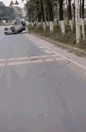 1c28618dee1bcb49736507b5e31fd5ad.gif