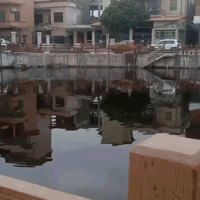 c06c1003645a445e838638c98d35450f.gif