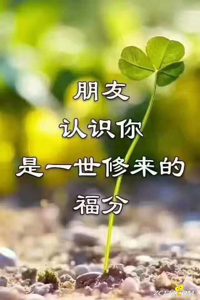 wechat_upload1645923359621acc1fcd4fd
