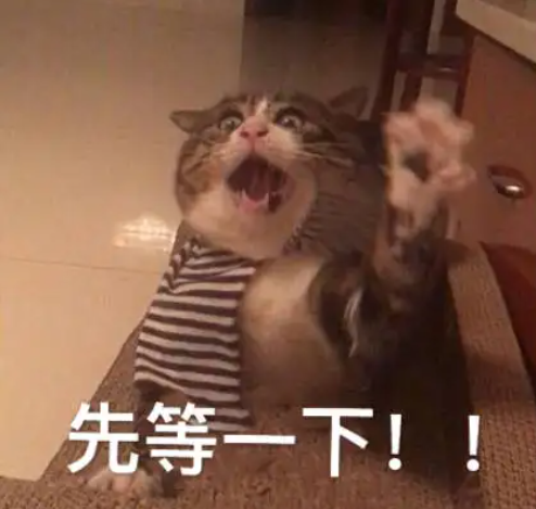 4e077f2cacba900ad31bd27c8cb88053.png