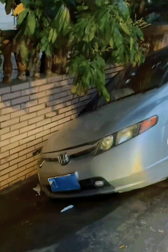 3ba9d6f37ab2a2dca4819794377234b7.gif