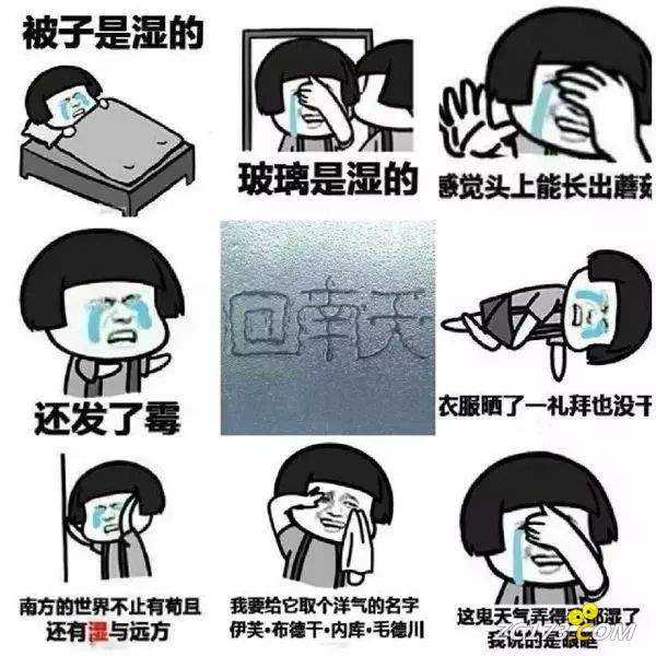 11ab758d17d54fba1b7f27a793931d39.jpg