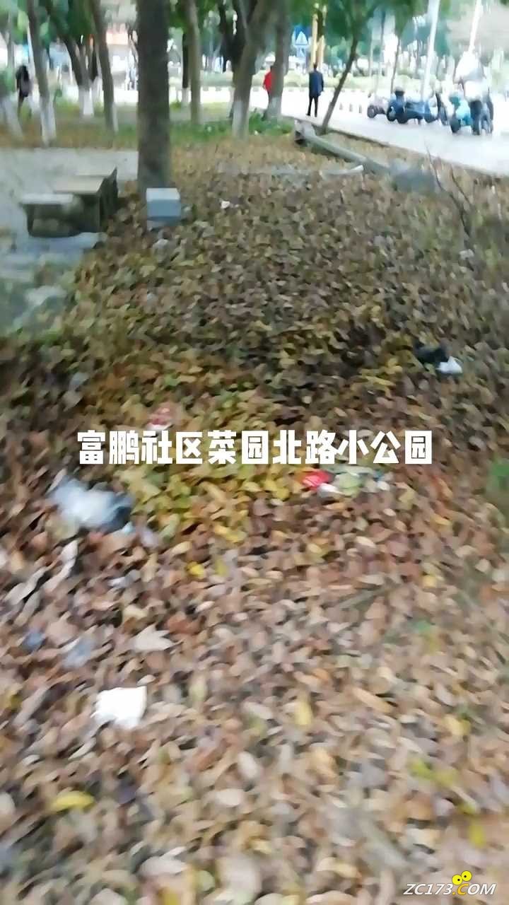 wechat_upload16487464096245dfa9d13a1