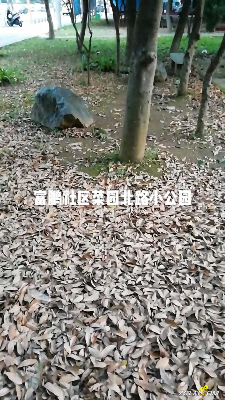 wechat_upload16487464106245dfaab79e5