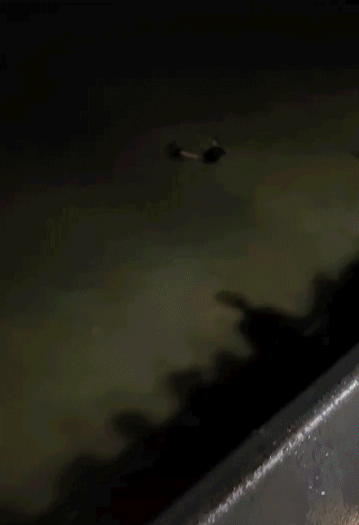 b1e17eff8685c6642a8061a7af7f44be.gif