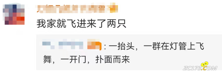 8684ab6ed5a1a8a5e65b1011fe74609d.png