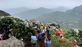 89c14da82088df0fff2bb92920cdbc69.gif