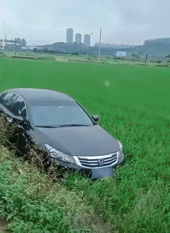 49b9a28aeef585b1c1fd97a5c12170c4.gif