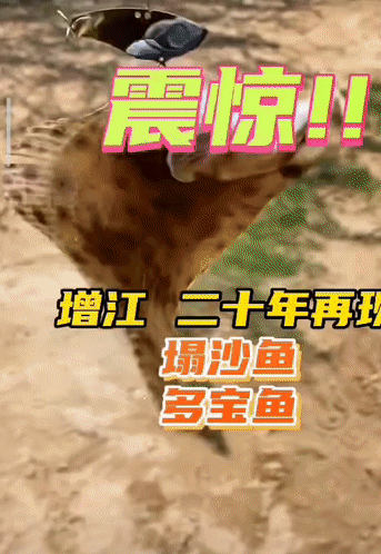 81ff0e7401aa1e422926d135776d6dca.gif