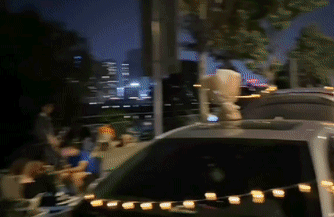d97a9b0573c87446f79b464afaeff597.gif