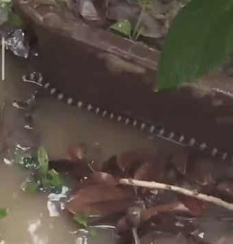 2488fb8b7985f90fafc7220bace00380.gif