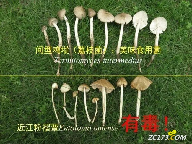 b0b2066756ee07169af386cc6f39a070.jpg
