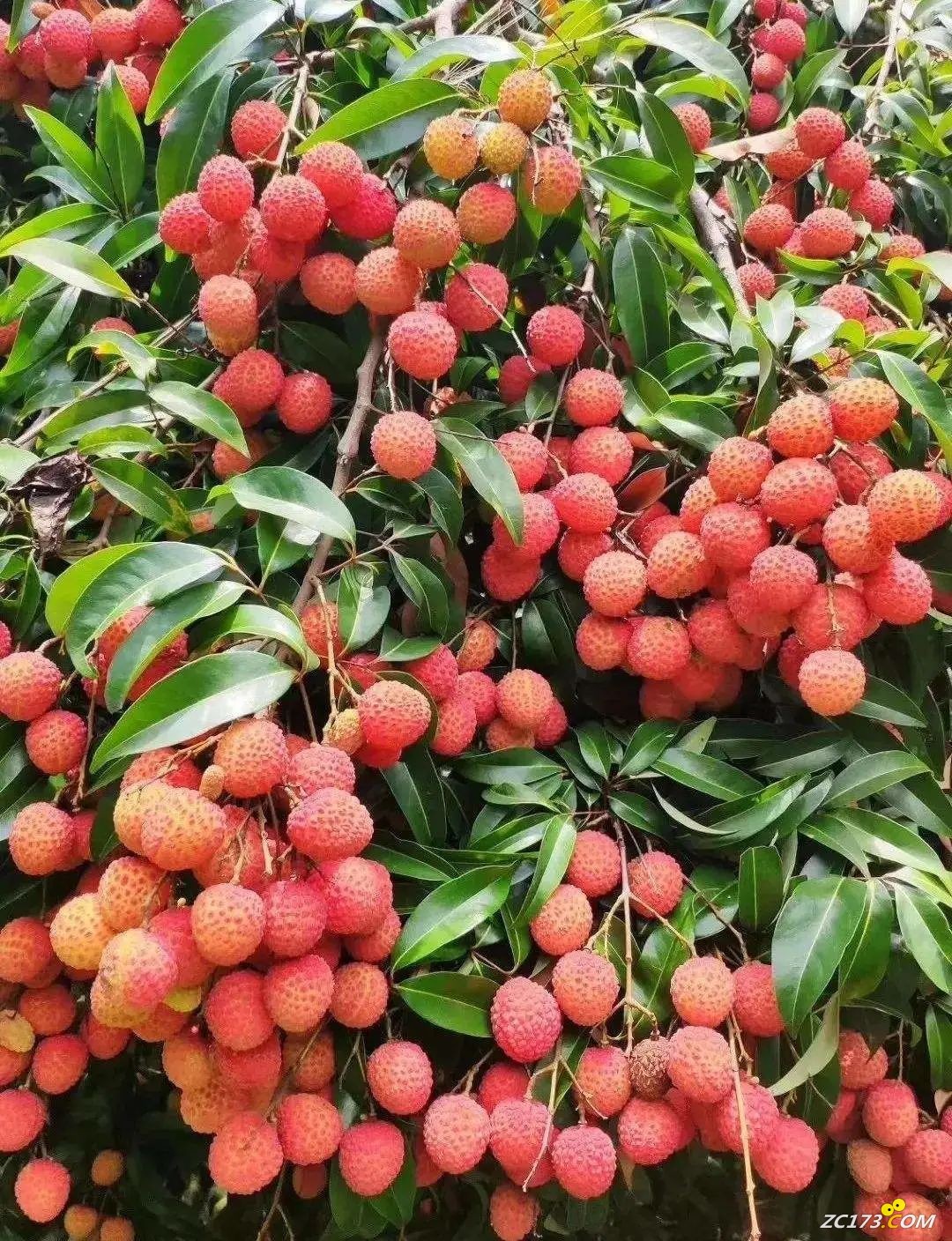 905b0c78b90c6edf2f8591eaaf758a45.jpg