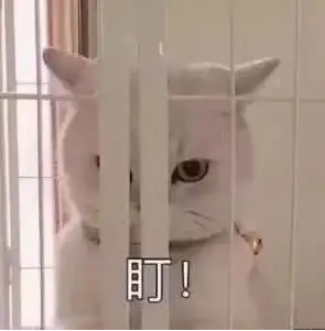 c0b6339f99b58030a0e0175062d725a2.png