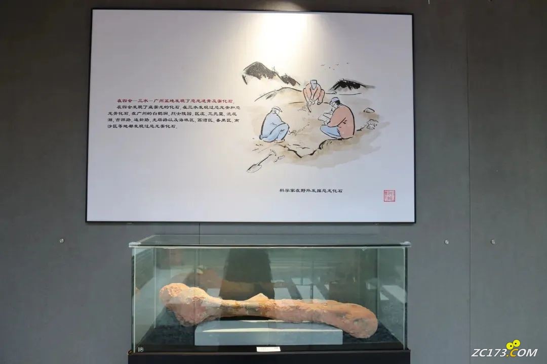 b9a8521bc049eacfe011585b49f9b555.jpg