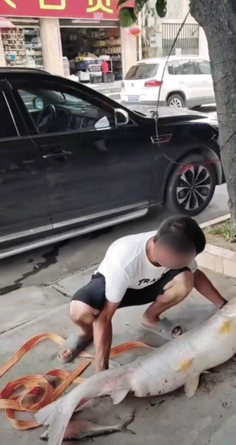 12a582c53ee7269ad29cb9a0677e6dca.gif