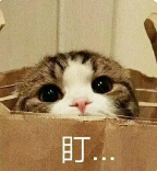 7647b7dbf9c9add90bcfb2b133cecd85.png