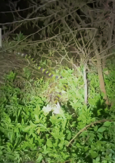 fff066b5f38f3804afc24bce9dc0b6c9.gif