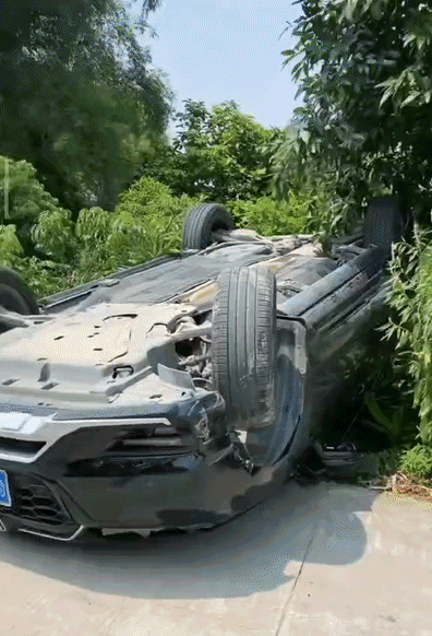 c5a831d1f8e185641c18e8aeef88a8d2.gif