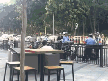 db55a352bf3a46904129058915b22c6d.gif