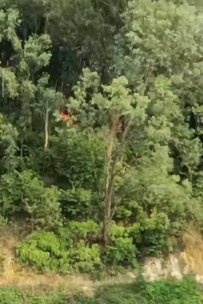 3014e872d67983349c39ac9598daee9a.gif