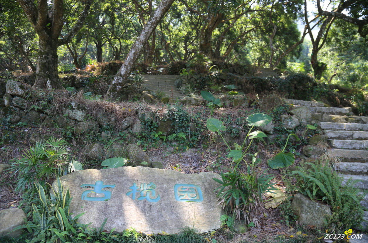 41deda200f0f2348e976e10a556b8c58.png