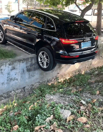 f6b4b5ea79e36b4066b6065cc4ec26c0.gif