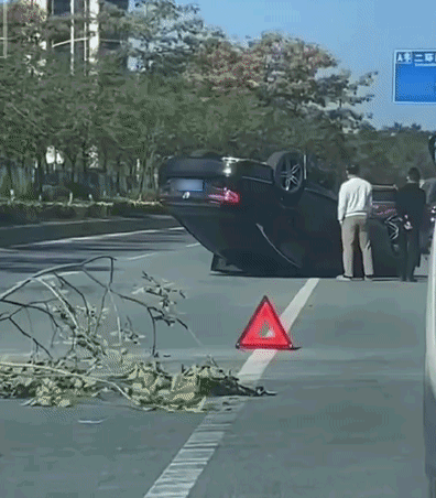 d13bca30e41a6f4b2f53d205872395d4.gif