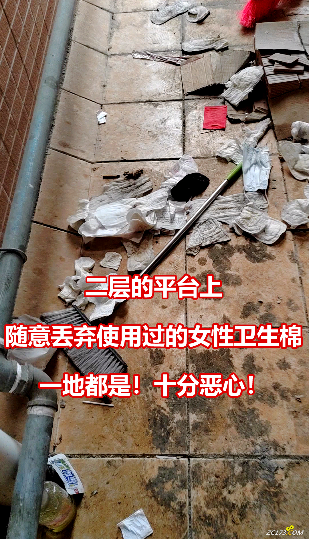 1c736da276429f4b13c69ac8313085d0.png