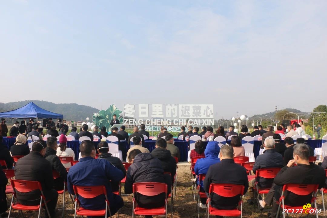 b97a18d940fda340fa8686dd8b6be633.jpg