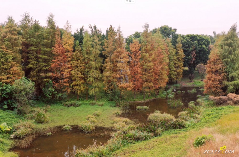 19.jpg