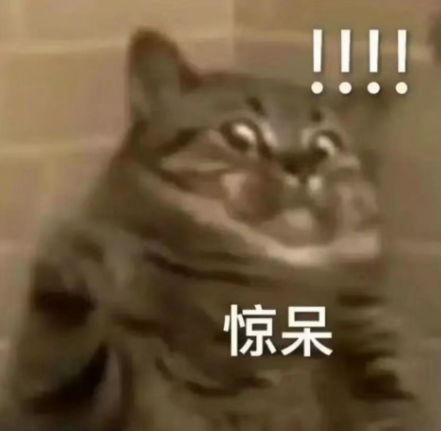 3c46e5e5260117024a0a8f807a6e64d8.png