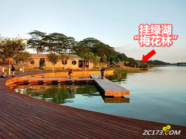 49c3198774d6d1d1d5b9d4869b58339a.png