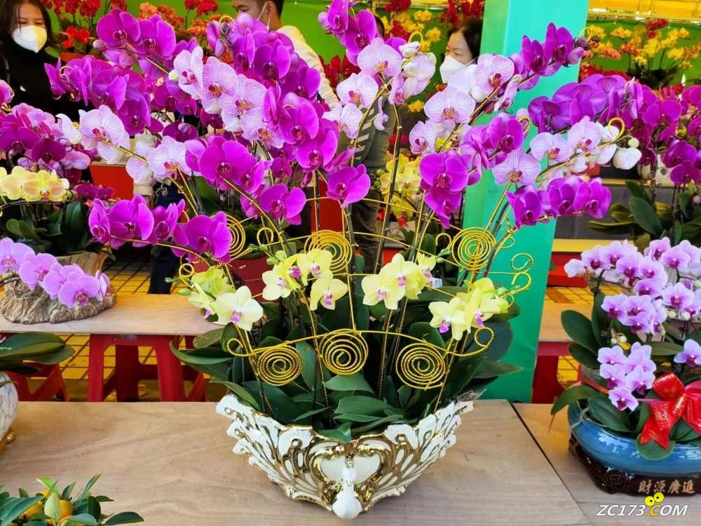 wechat_upload167406056063c823103b55b