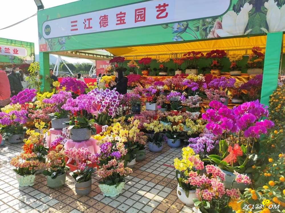 wechat_upload167406056363c82313770d3