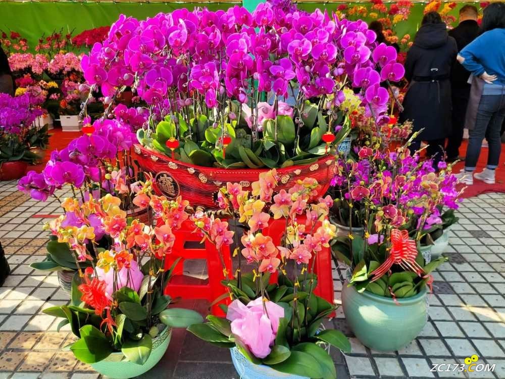 wechat_upload167406063163c823578f726