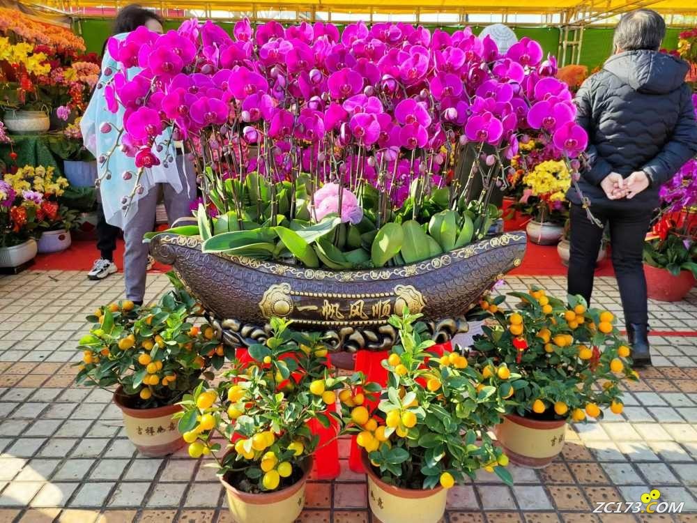 wechat_upload167406063263c8235891bc6
